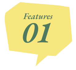 Feature 01