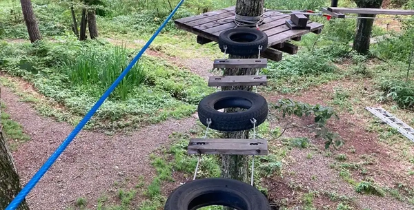 タイヤわたり