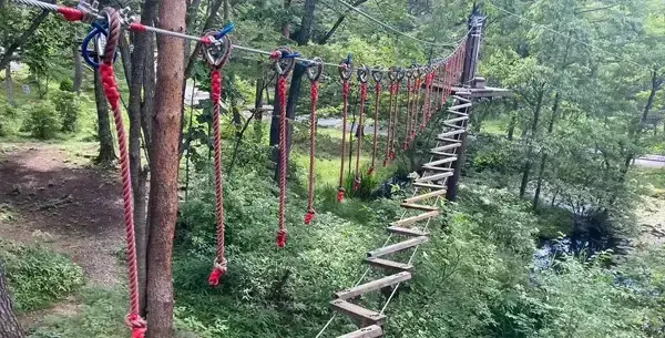 フラフラロープライン