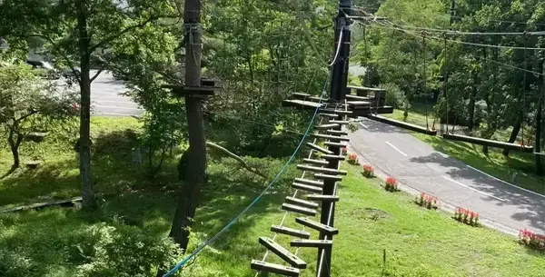 フラフラ板