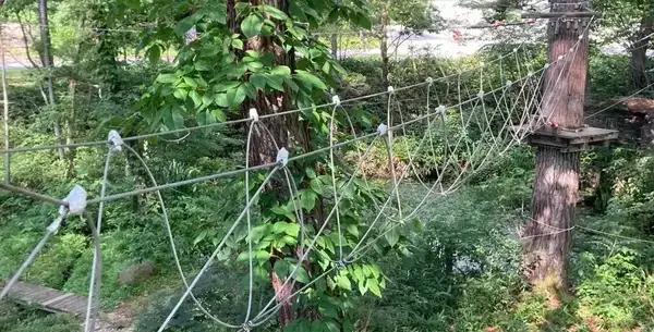 Vワイヤーわたり