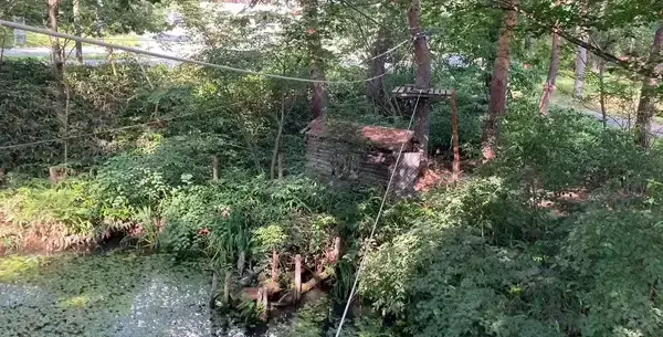 カニさんワイヤーわたり