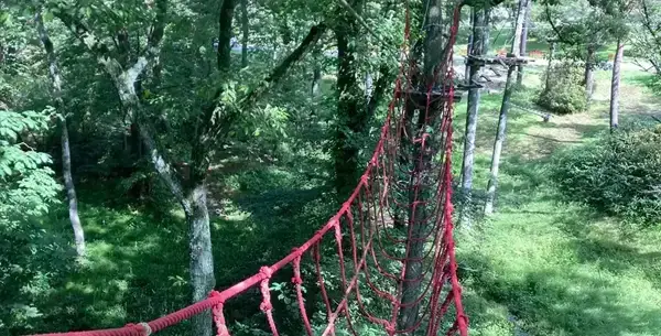 Vネットわたり