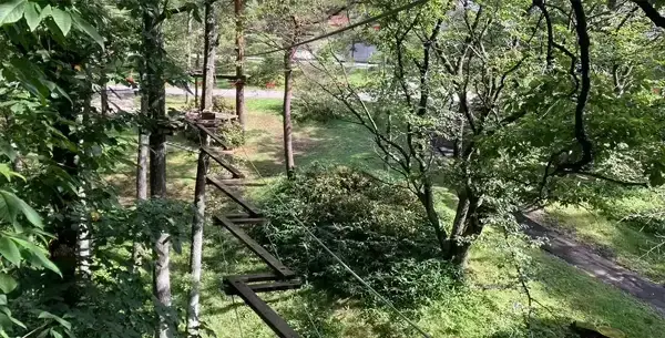 ジグザグはしご