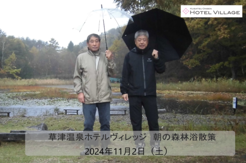 朝の森林浴散策
