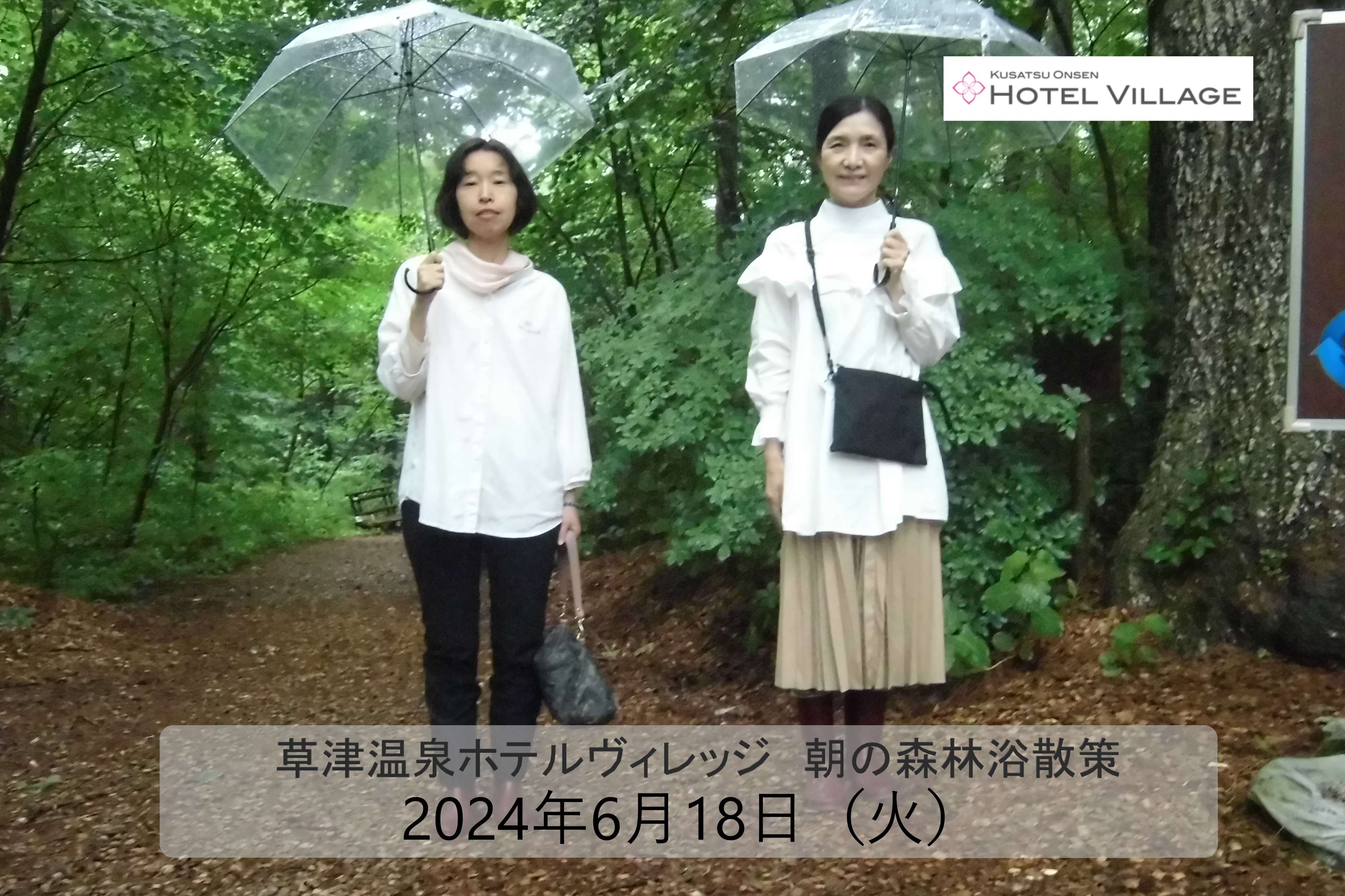 朝の森林浴散策