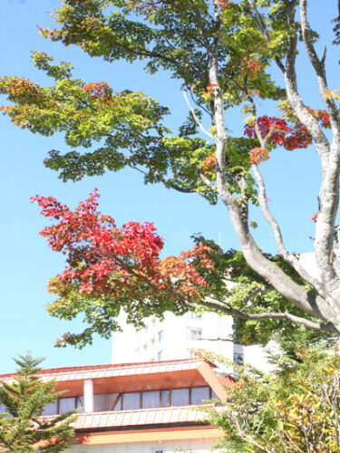 10月8日（月）　紅葉情報