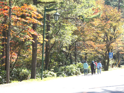 10月17日（水）　ホテル周辺の紅葉情報