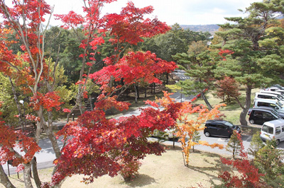 草津町の紅葉情報　10月26日（金）