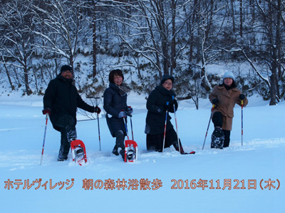 1/21 朝の森林浴散策
