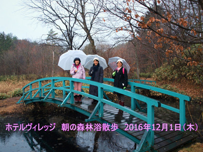 12/1 朝の森林浴散策