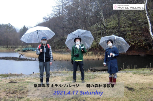 朝の森林浴散策