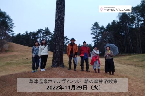 朝の森林浴散策