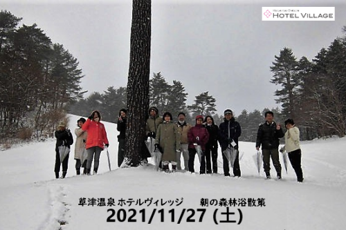 朝の森林浴散策