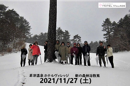 朝の森林浴散策
