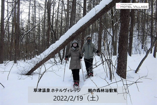 朝の森林浴散策