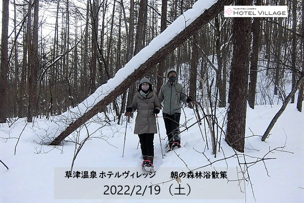 朝の森林浴散策