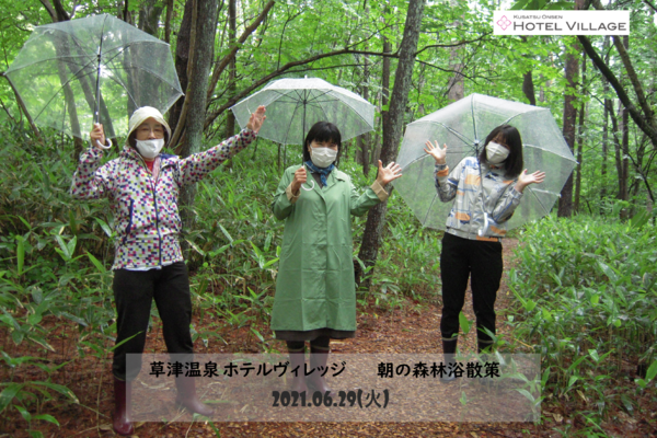 朝の森林浴散策