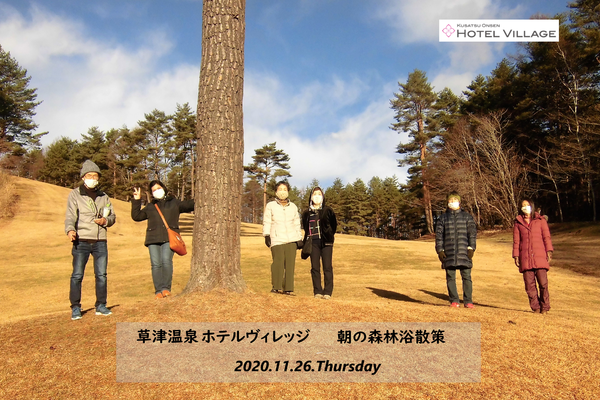 11/26 朝の森林浴散策