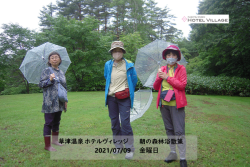朝の森林浴散策