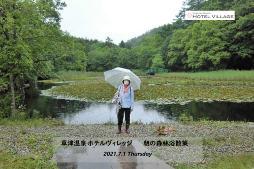 朝の森林浴散策