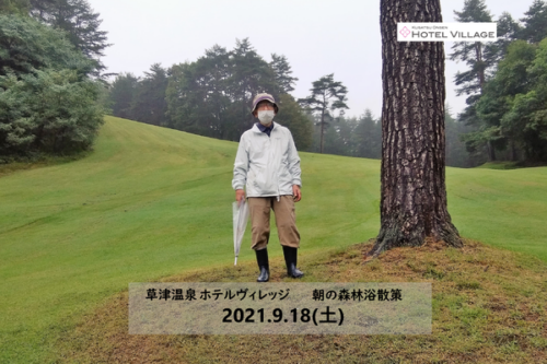 朝の森林浴散策