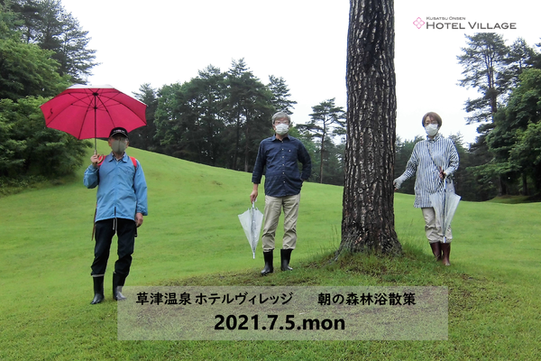朝の森林浴散策