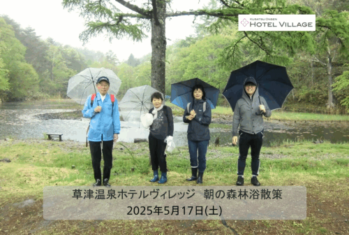 朝の森林浴散策