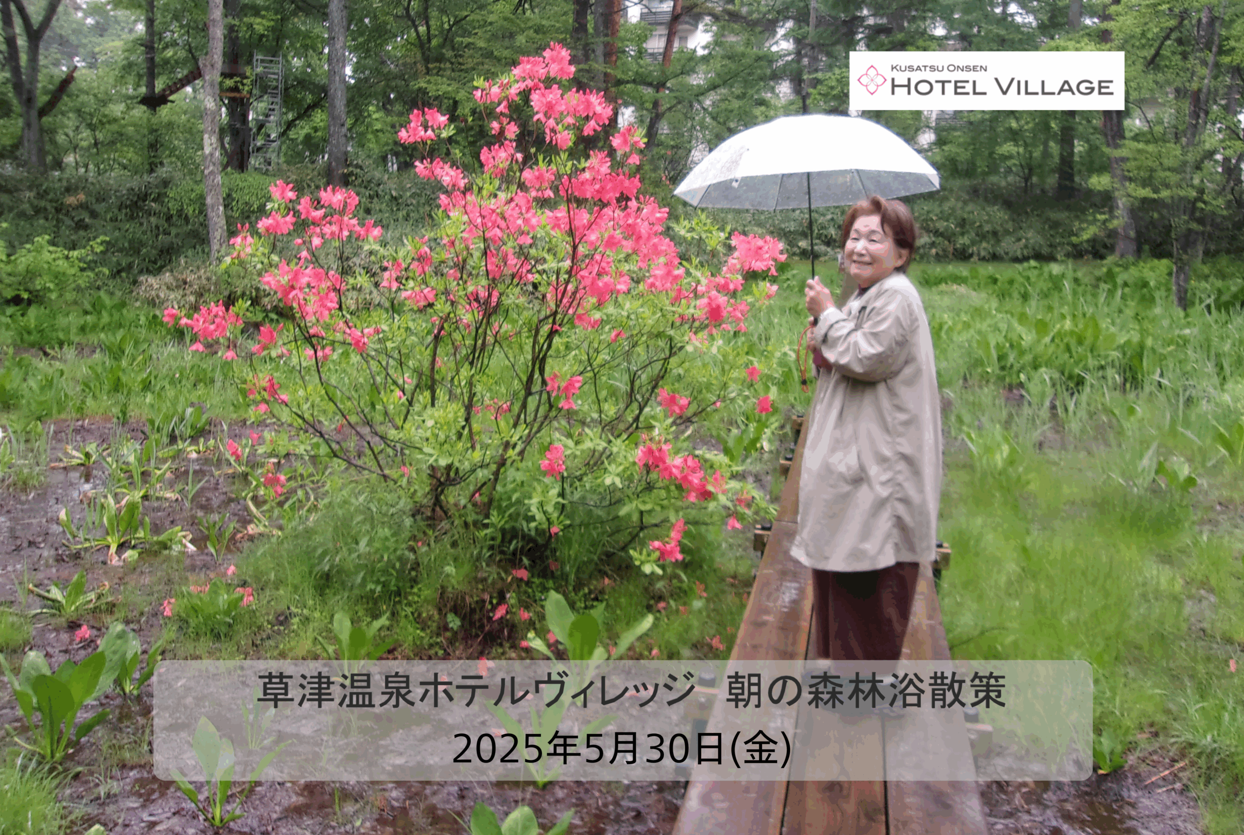朝の森林浴散策