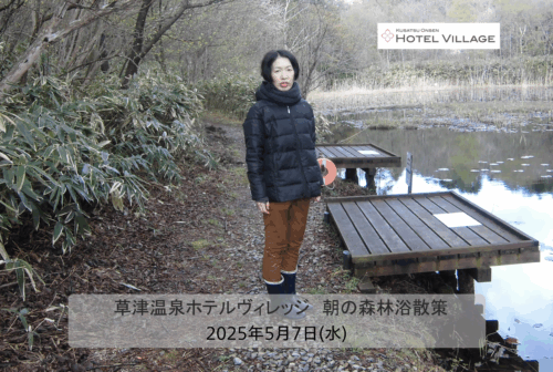 朝の森林浴散策