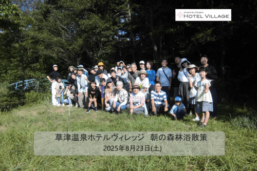 朝の森林浴散策