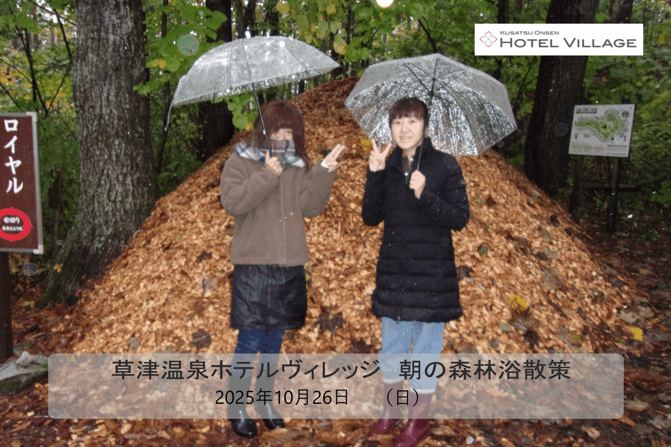 朝の森林浴散策