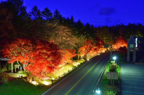 【草津温泉】道の駅 紅葉ライトアップ