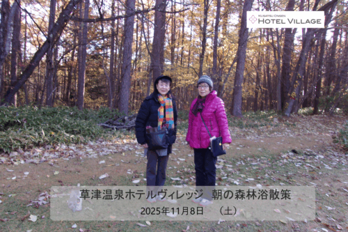 朝の森林浴散策