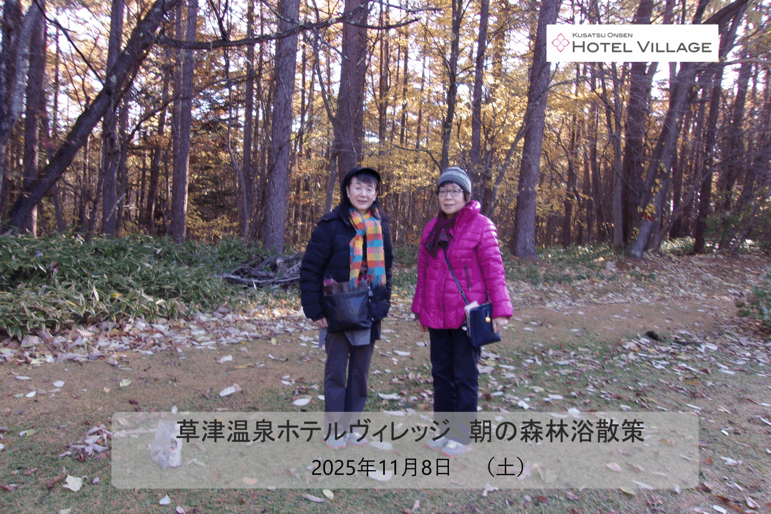 朝の森林浴散策