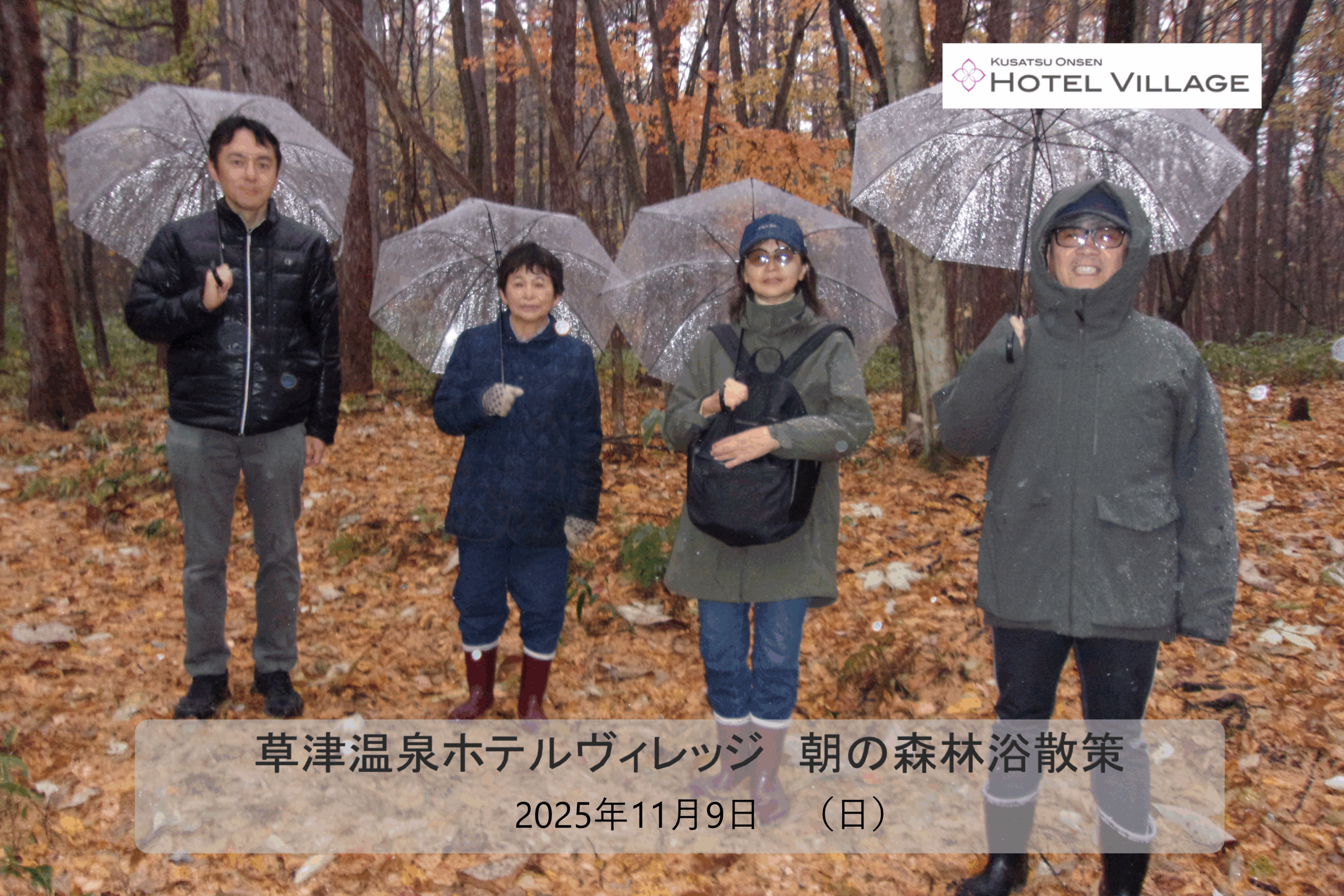 朝の森林浴散策