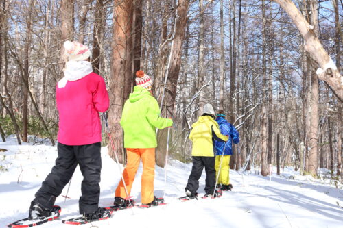 【アクティビティ】営業情報