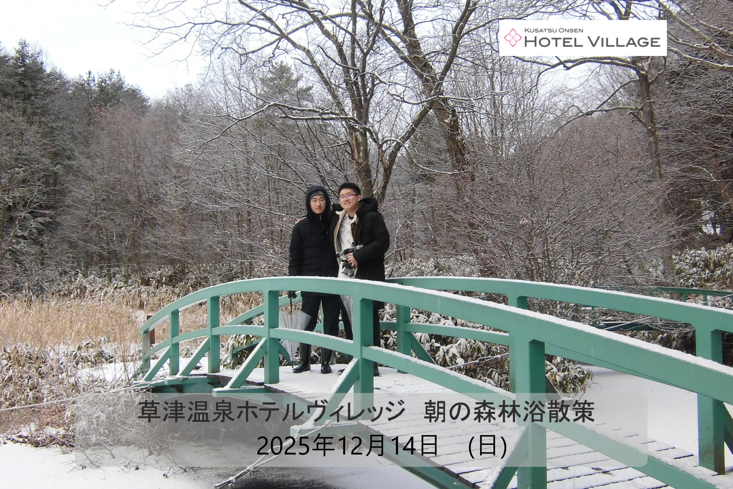 朝の森林浴散策