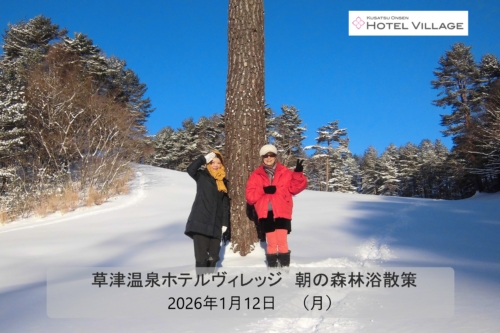 朝の森林浴散策