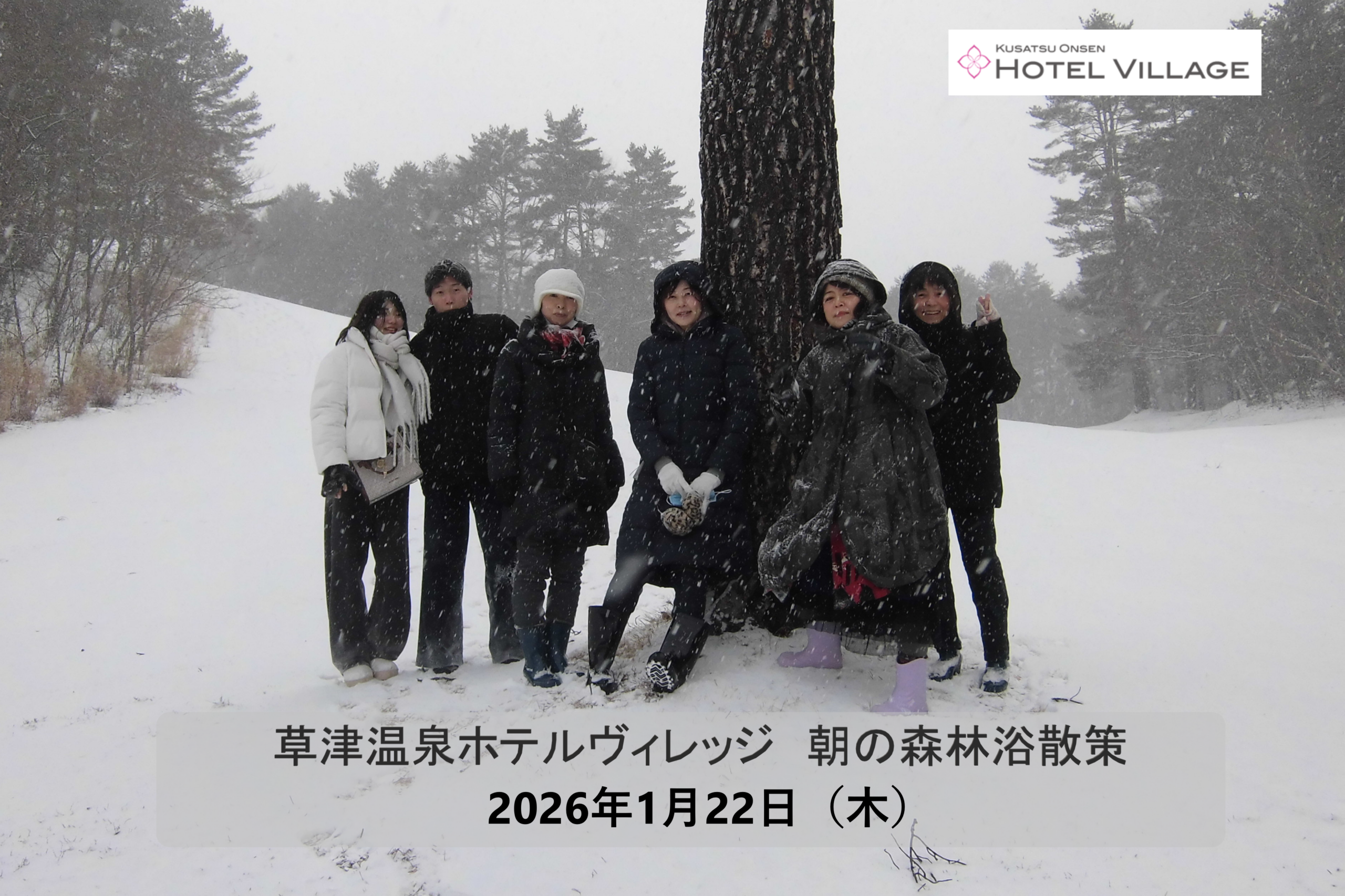 朝の森林浴散策