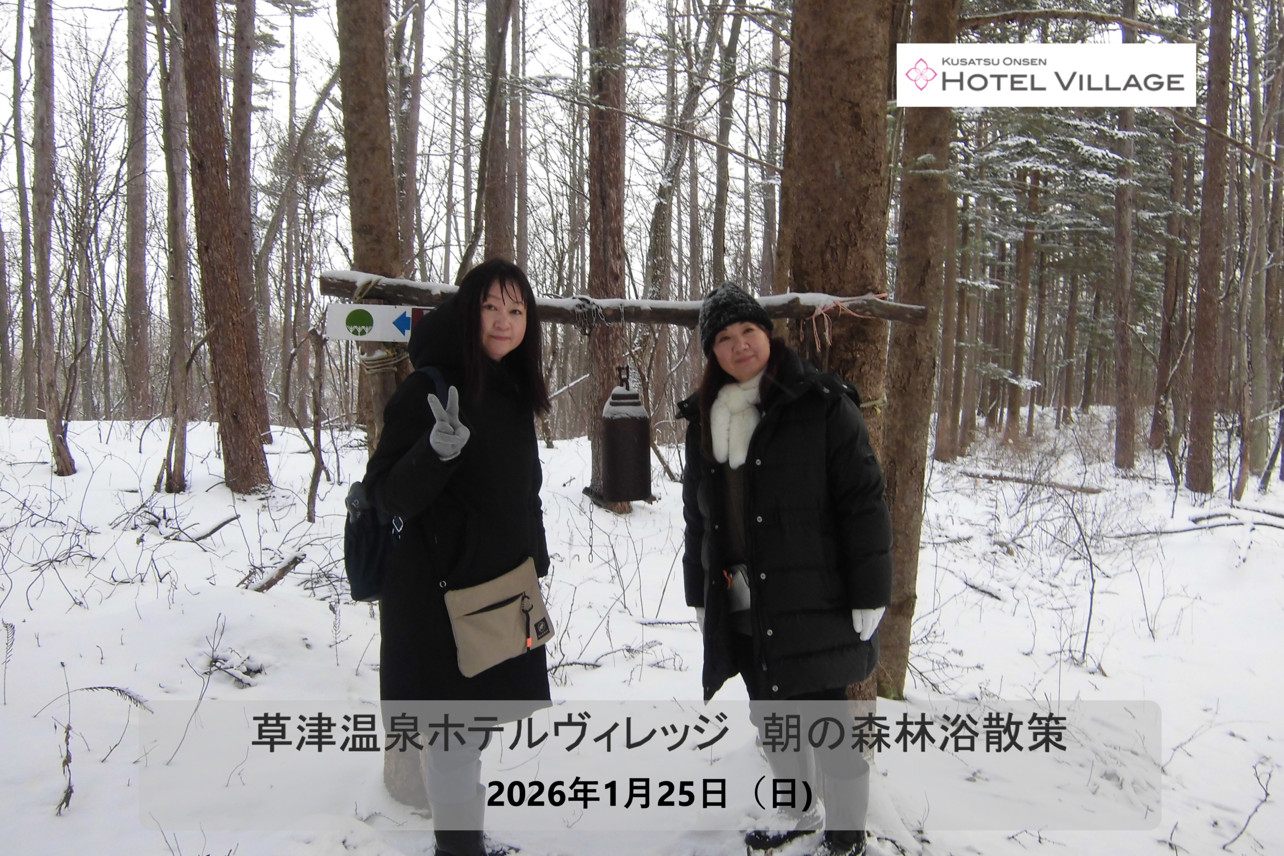 朝の森林浴散策