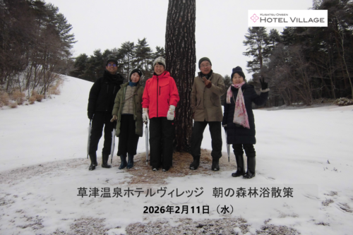 朝の森林浴散策