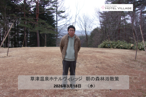 朝の森林浴散策